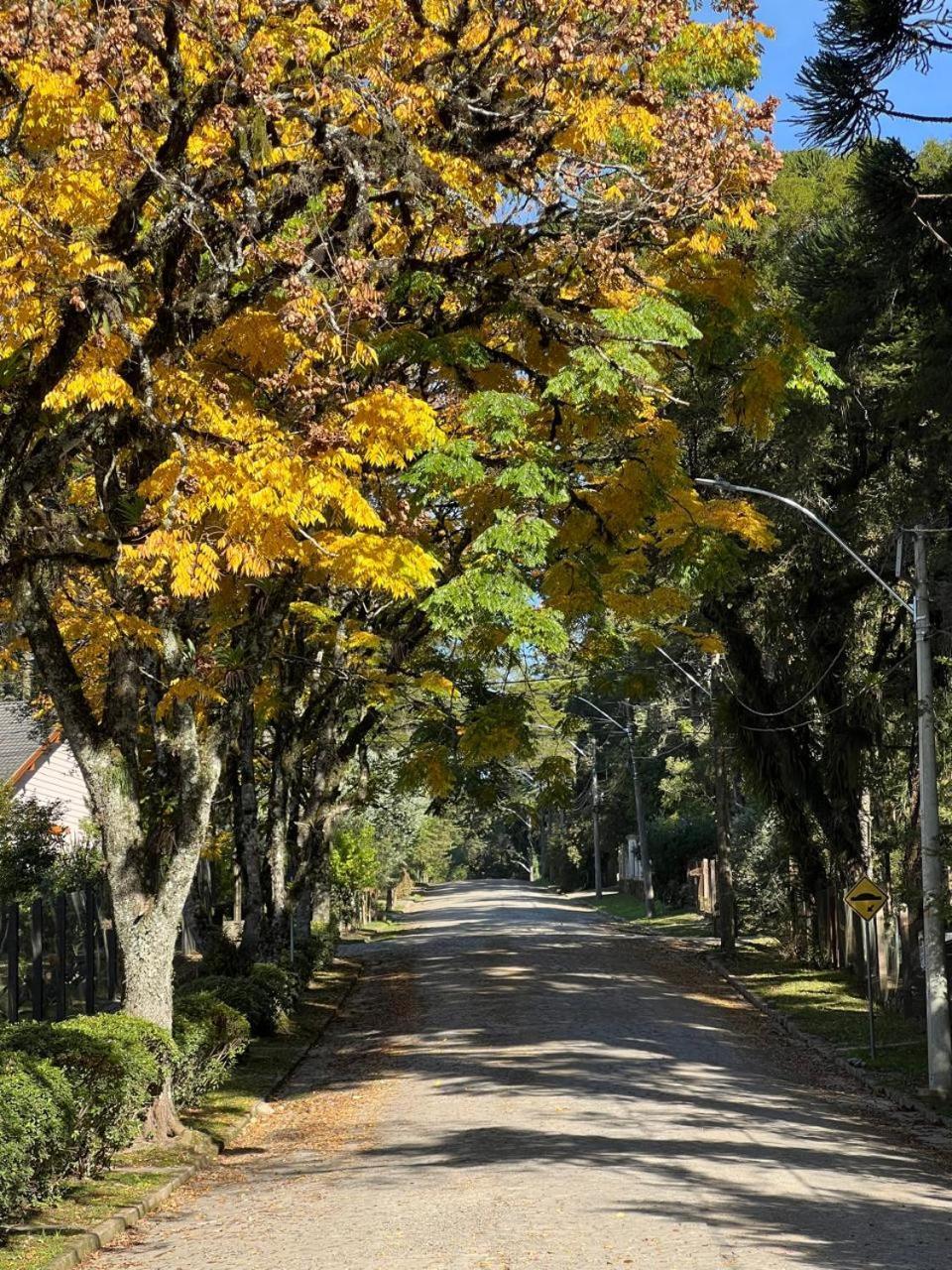 Suzana Parque Canela